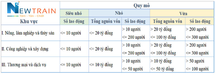 loại hình doanh nghiệp nhập misa